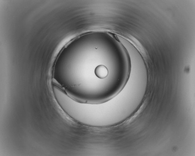 X0000096131196200802011141