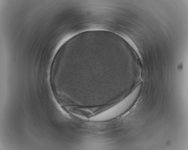 X0000096131197200802011141
