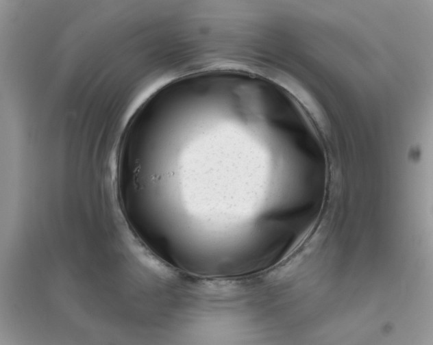 X0000096131198200802011141