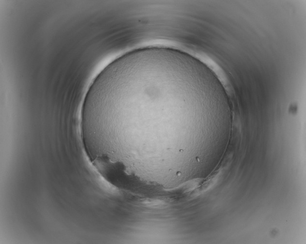 X0000096131199200802011141