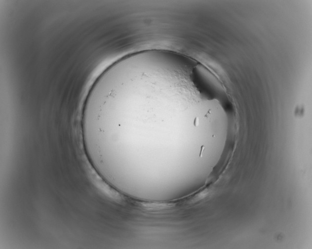 X0000096131200200802011141