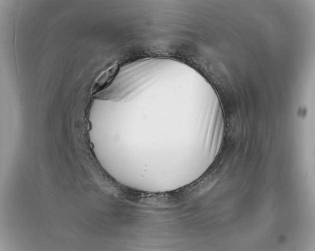 X0000096131201200802011140