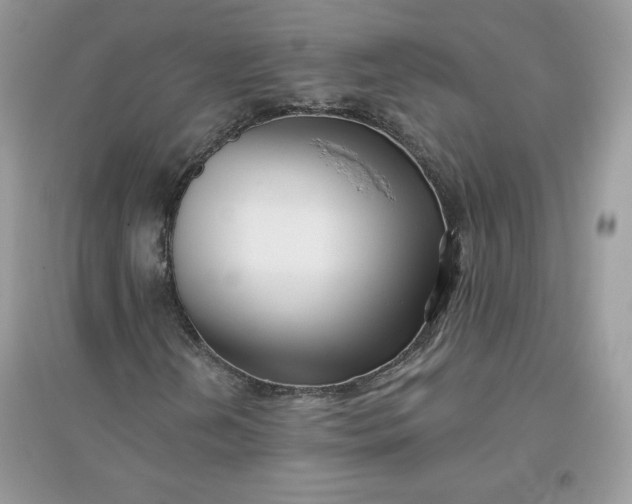 X0000096131202200802011140
