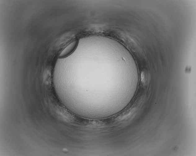 X0000096131203200802011140