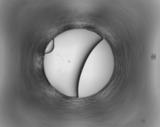 X0000096131204200802011140