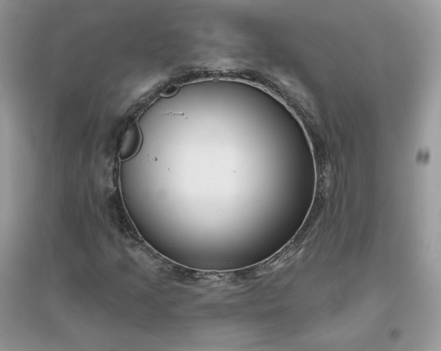 X0000096131205200802011140