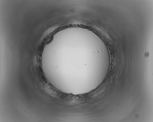 X0000096131207200802011140