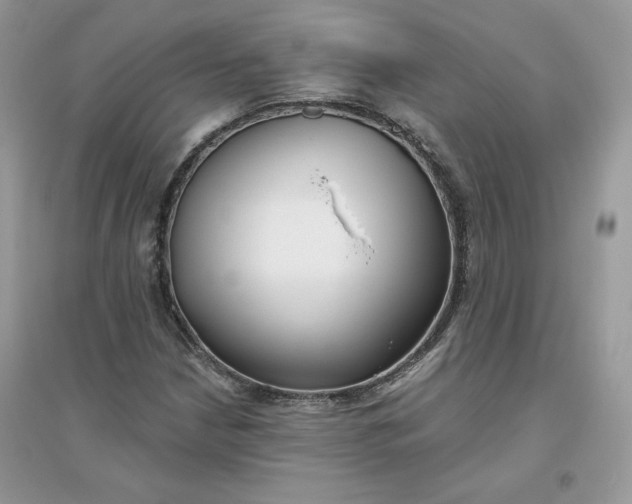 X0000096131210200802011140