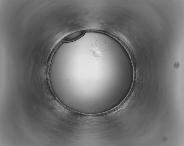 X0000096131212200802011140