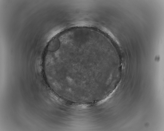 X0000096131213200802011140