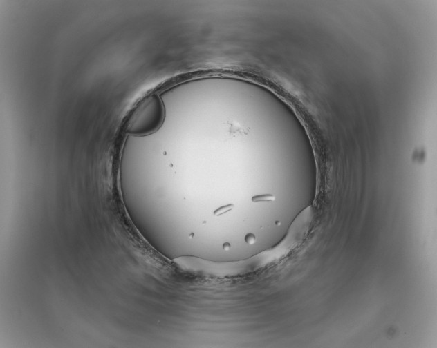 X0000096131214200802011140