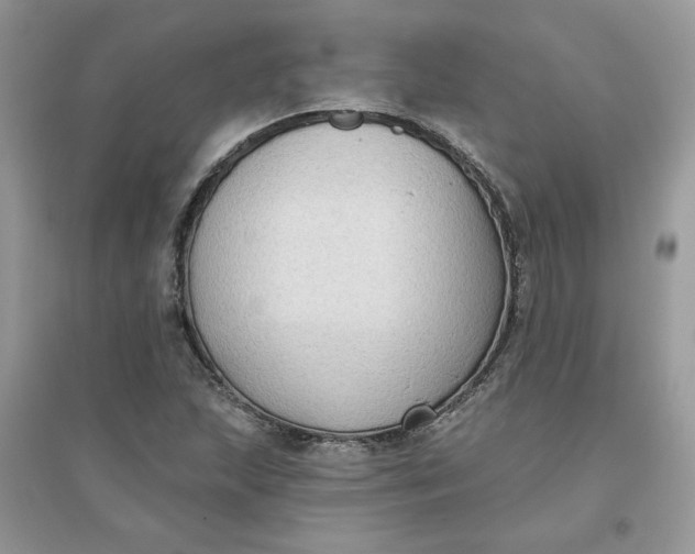 X0000096131215200802011140