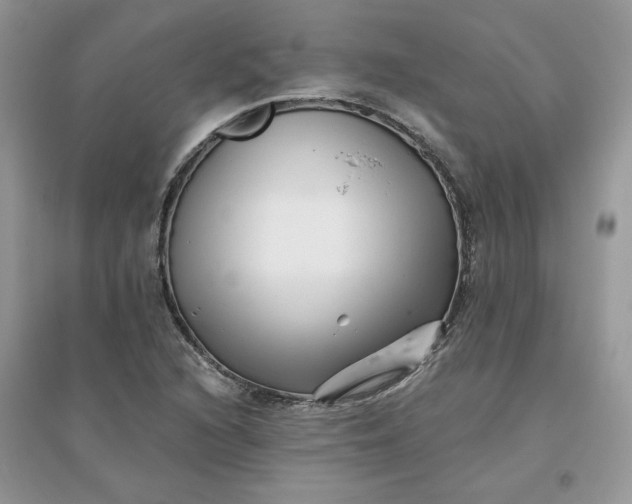 X0000096131216200802011140
