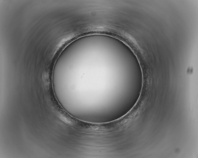 X0000096131218200802011140