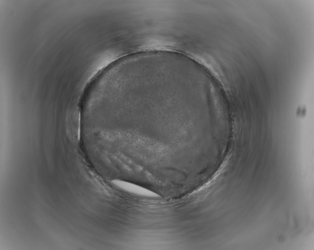 X0000096131219200802011140