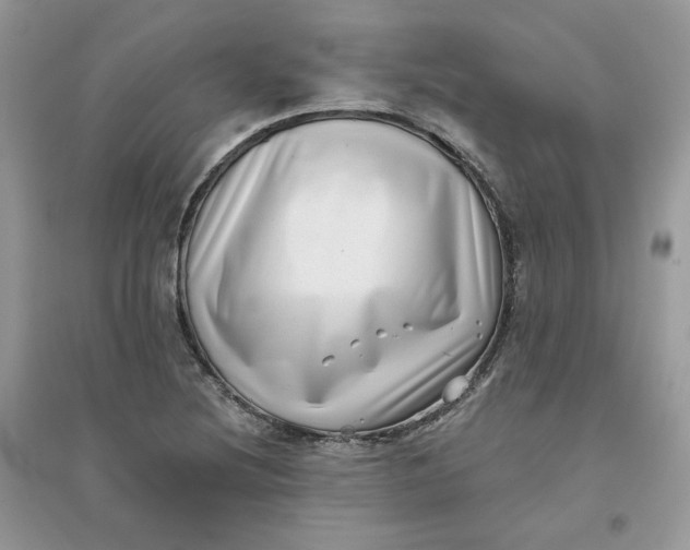 X0000096131220200802011140