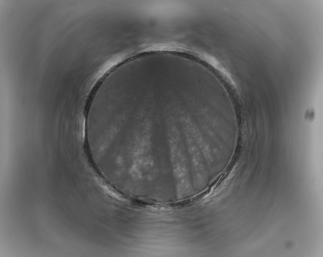 X0000096131221200802011140