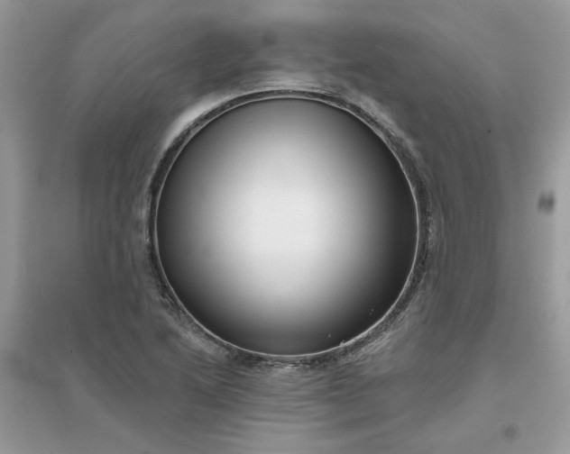 X0000096131222200802011140