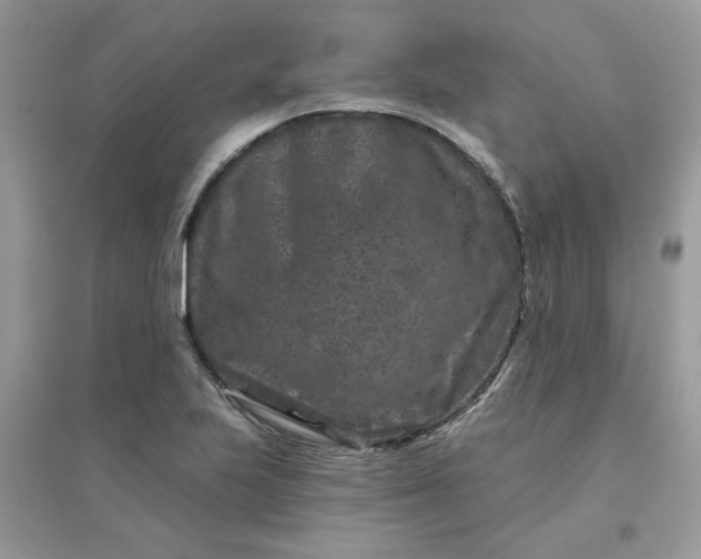 X0000096131223200802011140