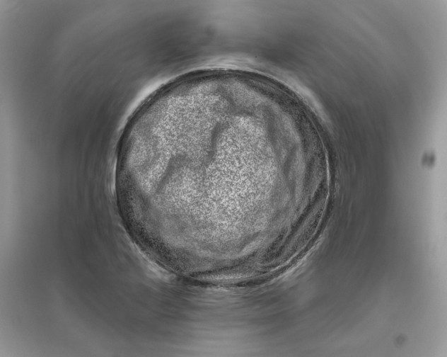 X0000096131224200802011140