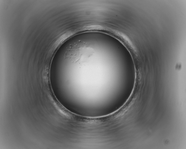 X0000096131225200802011140