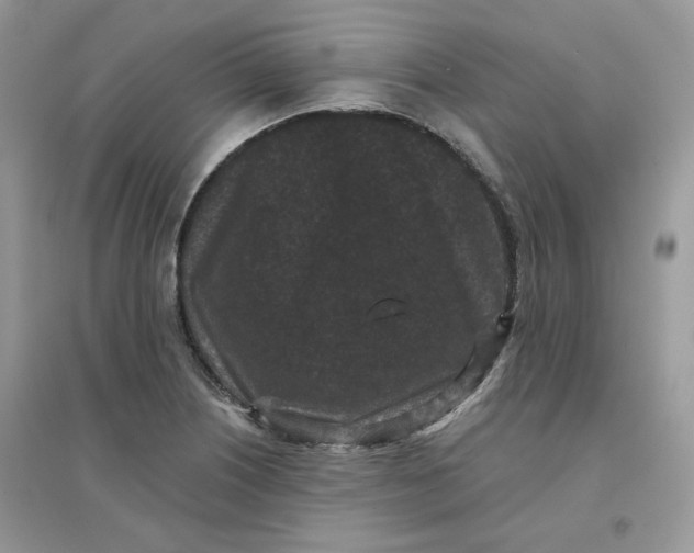 X0000096131226200802011140