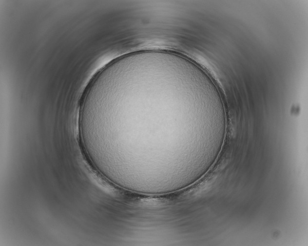 X0000096131227200802011140