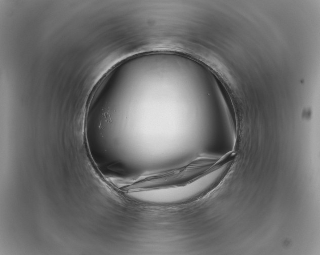 X0000096131228200802011140