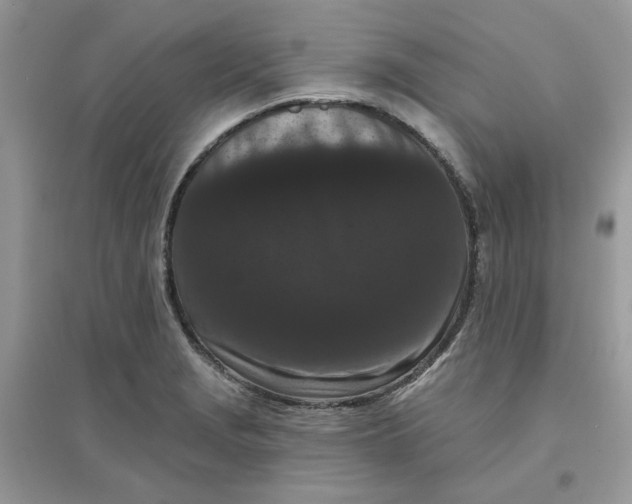 X0000096131229200802011140