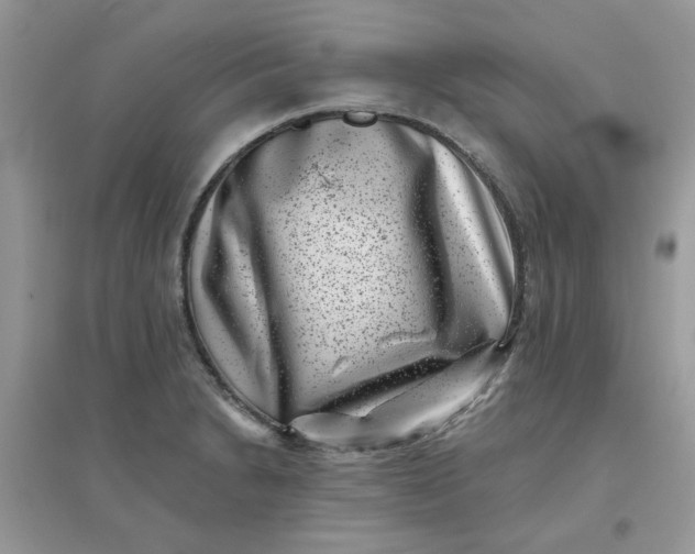 X0000096131230200802011140
