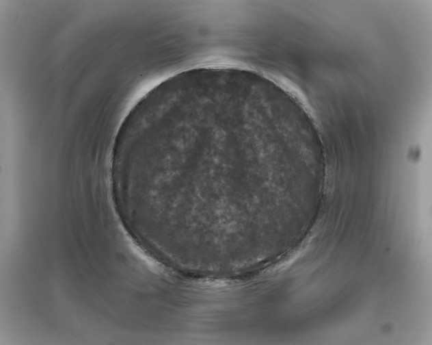 X0000096131231200802011140