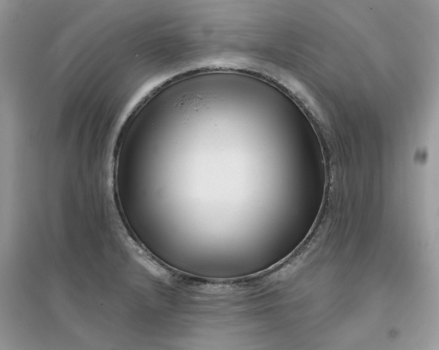 X0000096131232200802011140