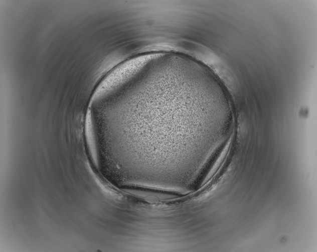 X0000096131233200802011140