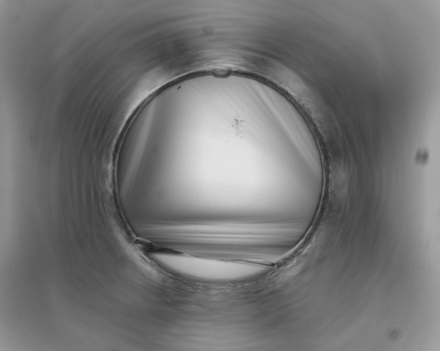 X0000096131234200802011140