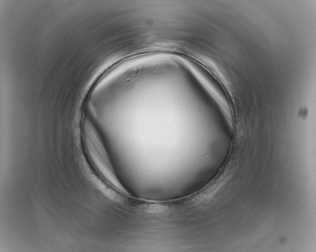 X0000096131235200802011140