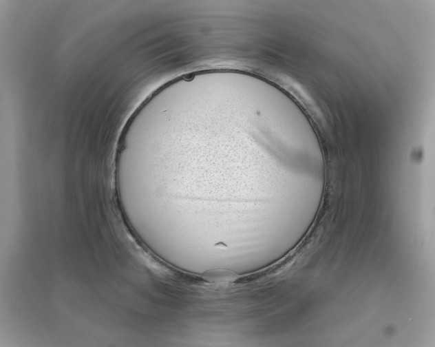 X0000096131236200802011140