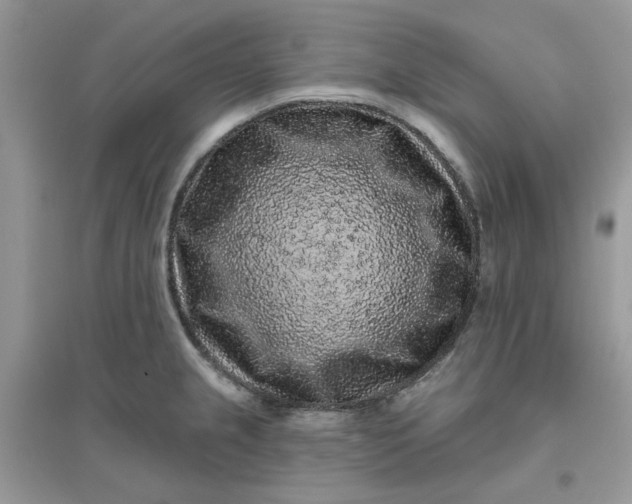 X0000096131237200802011140