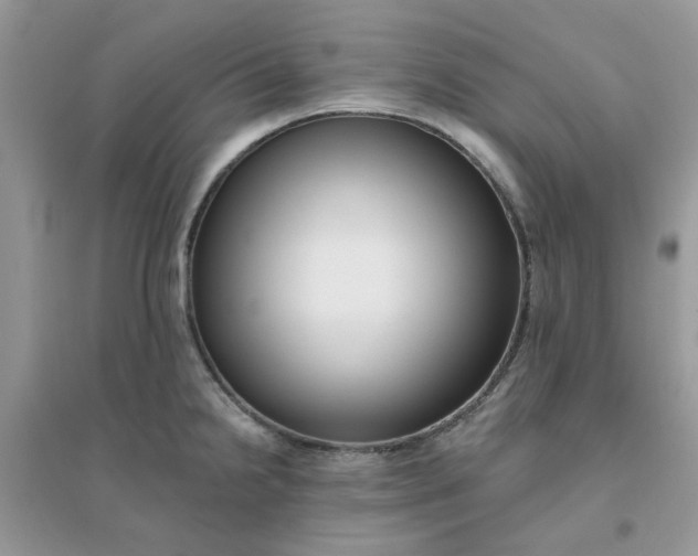 X0000096131238200802011140