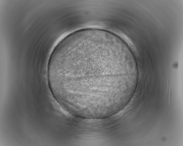 X0000096131240200802011140
