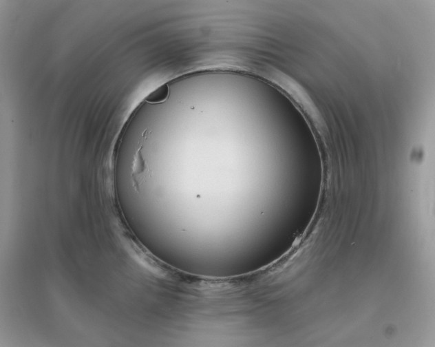 X0000096131242200802011140