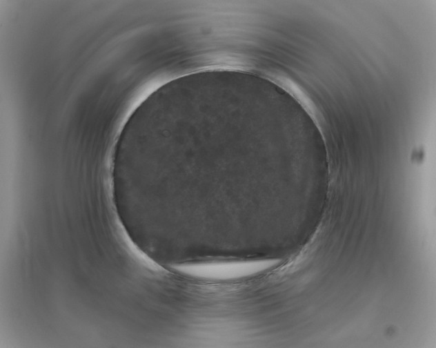 X0000096131243200802011140