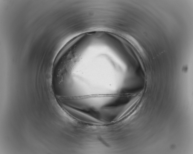 X0000096131244200802011140