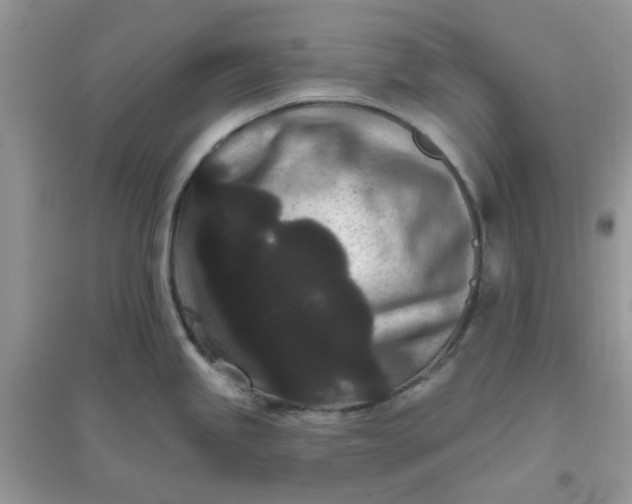 X0000096131245200802011140