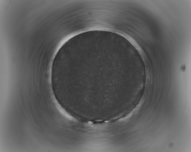 X0000096131246200802011140