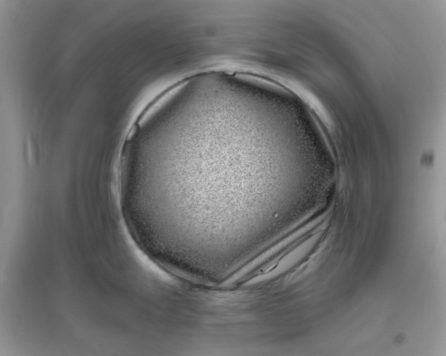 X0000096131247200802011140