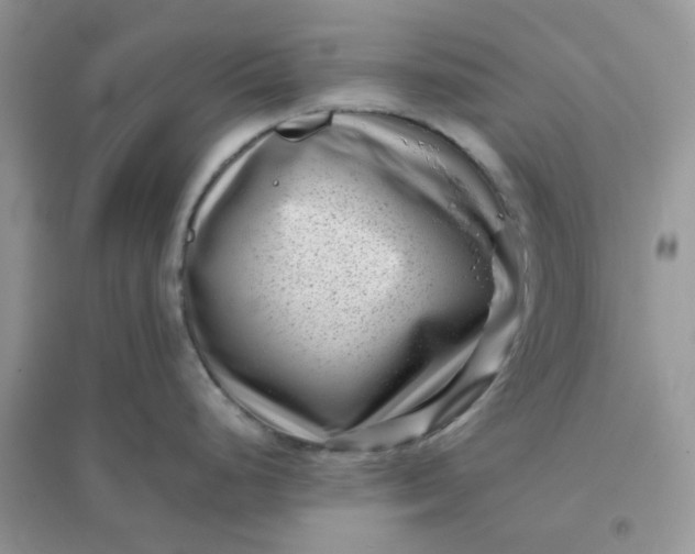 X0000096131248200802011140