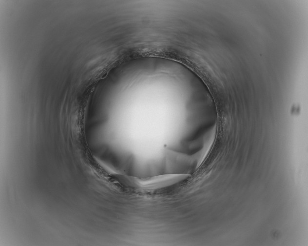 X0000096131250200802011140
