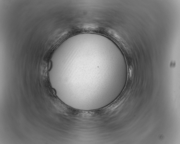 X0000096131251200802011140