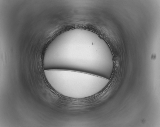 X0000096131252200802011140