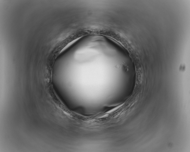 X0000096131253200802011140